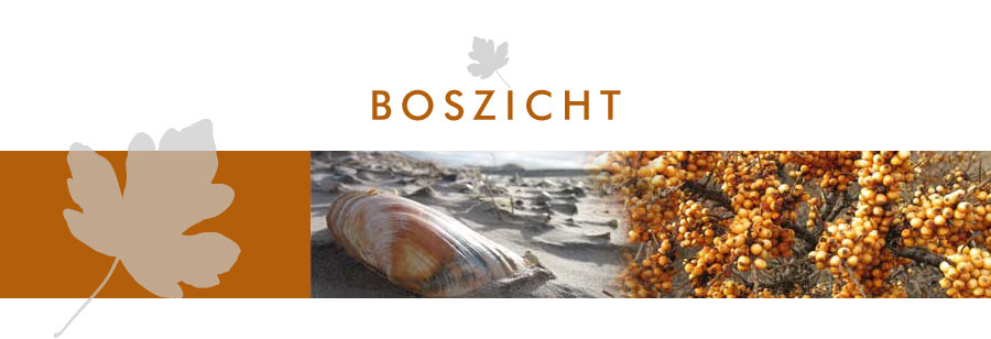 vakantiehuizen Schiermonnikoog