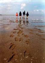 vakantie Schiermonnikoog